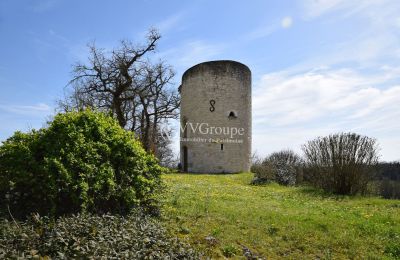 Palazzo in vendita Monflanquin, Nuova Aquitania, Torre