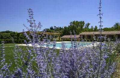 Casa di campagna in vendita Montepulciano, Toscana, Foto 17/17