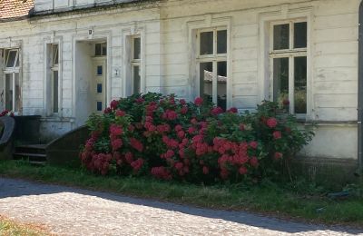 Villa padronale in vendita 18556 Zürkvitz,  Zürkwitzer Str. 15, Mecklenburg-Vorpommern, Foto 20/23