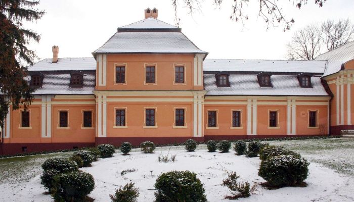 Villa padronale in vendita Regione di Nitra,  Slovacchia