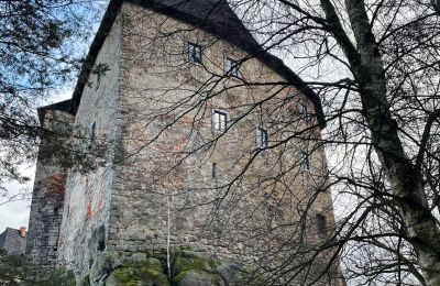 Castello in vendita Karlovarský kraj, Foto 28/31