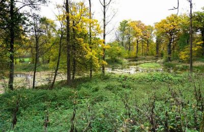 Castello in vendita Zagórzany, województwo małopolskie, Stagno/Lago