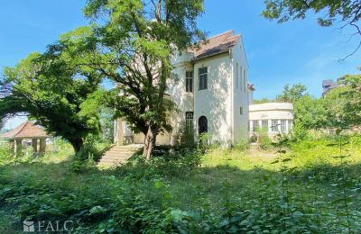 Villa storica in vendita 99510 Apolda, Lessingstraße 62, Turingia, Proprietà