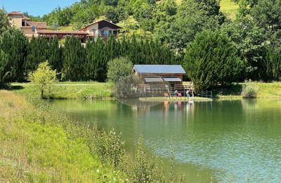 Immobile storico in vendita Mirande, Occitania, Foto 6/45