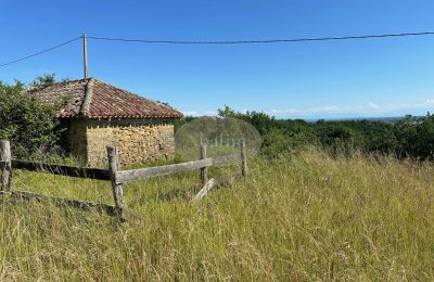 Immobile storico in vendita Mirande, Occitania, Foto 27/45