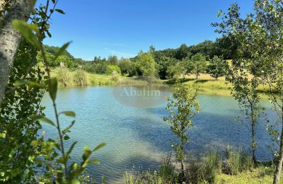 Immobile storico in vendita Mirande, Occitania, Foto 4/45