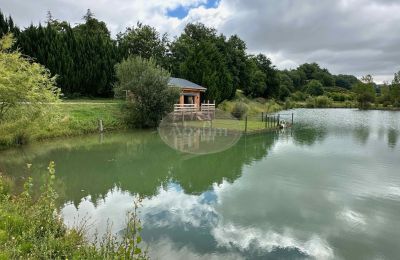 Immobile storico in vendita Mirande, Occitania, Foto 5/45