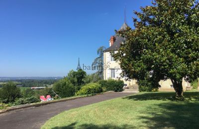 Villa padronale in vendita Pau, Nuova Aquitania, Foto 15/19