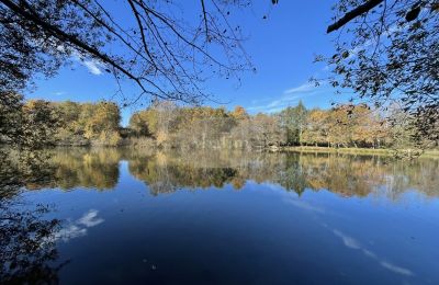 Villa padronale in vendita Eauze, Occitania, Stagno/Lago