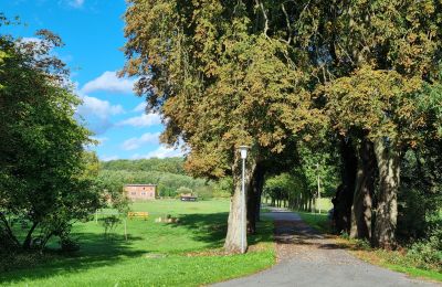 Villa padronale in vendita 18461 Grenzin, Mecklenburg-Vorpommern, Blick zum Dorf