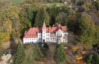 Palazzo in vendita Grabiszyce Średnie, Bassa Slesia, Pałac Grabiszyce Średnie