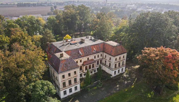 Palazzo in vendita Wojnowice, Voivodato della Slesia,  Polonia