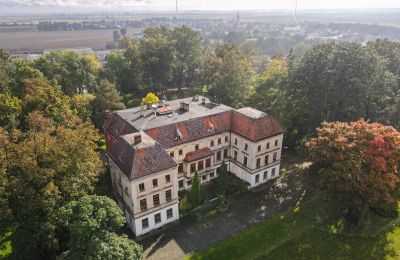 Palazzo in vendita Wojnowice, Pałacowa, Voivodato della Slesia, Foto con drone