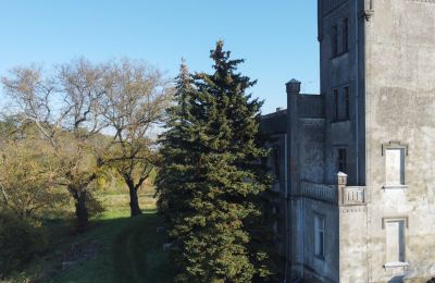 Palazzo in vendita Górki Dąbskie, Pałac w Górkach Dąbskich, województwo kujawsko-pomorskie, Torre