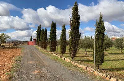 Casale in vendita Almagro, Almagro, Castilla-La Mancha, Vialetto