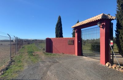 Casale in vendita Almagro, Almagro, Castilla-La Mancha, Entrada