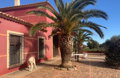 Casale in vendita Almagro, Almagro, Castilla-La Mancha, Fachada