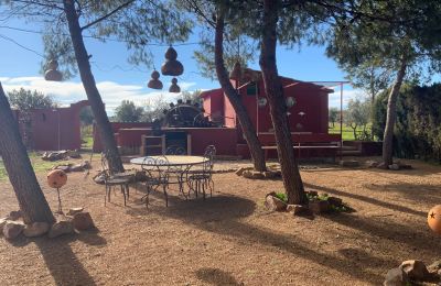 Casale in vendita Almagro, Almagro, Castilla-La Mancha, Proprietà