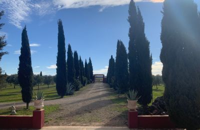 Casale in vendita Almagro, Almagro, Castilla-La Mancha, Vialetto