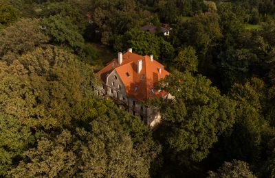 Immobili di carattere, Villa padronale a Wilków vicino a Wrocław, regione di Opole