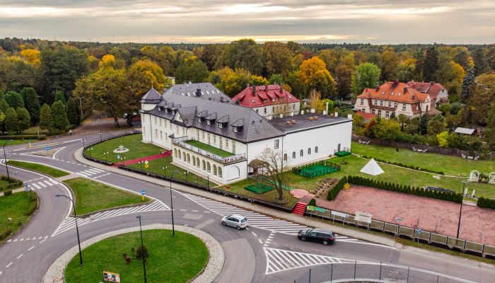 Palazzo in vendita Krupski Młyn, Voivodato della Slesia,  Polonia