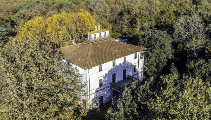 Villa storica Pontedera 5