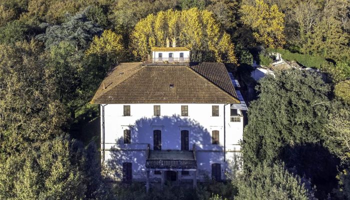 Villa storica Pontedera 3