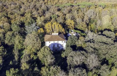 Villa storica in vendita Pontedera, Toscana, Proprietà