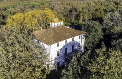 Villa storica in vendita Pontedera, Toscana, Foto 5/17