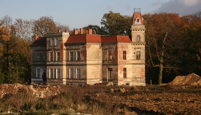 Villa padronale Pisarzowice 4