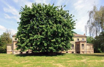 Villa padronale in vendita Strzyżno, Pałac w Strzyżnie, województwo zachodniopomorskie, Vista frontale