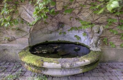 Villa storica in vendita Vernaison, Auvergne-Rhône-Alpes, Foto 17/29