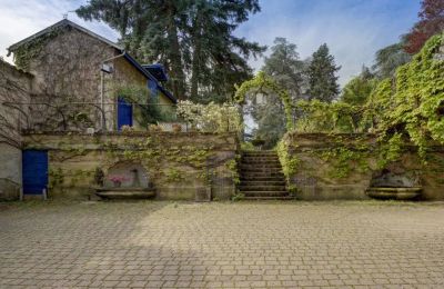 Villa storica in vendita Vernaison, Auvergne-Rhône-Alpes, Foto 18/29