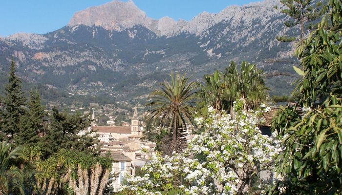 Casa di campagna Sóller 4