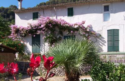 Casa di campagna in vendita Sóller, Cami de Cas Carreter 5, Isole Baleari, Foto 10/12