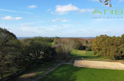 Villa padronale in vendita Busserolles, Nuova Aquitania, Foto 15/27