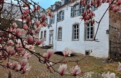 Palazzo in vendita Astenet, Wallonie, Foto 11/22