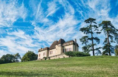 Castello in vendita Monségur, Nuova Aquitania, Foto 22/22