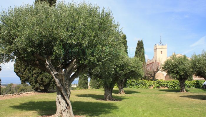 Villa padronale Vila-rodona, Catalogna