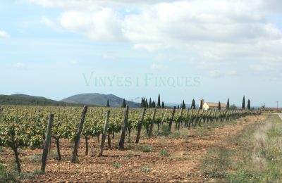 Villa padronale in vendita Vila-rodona, Catalogna, Foto 8/37