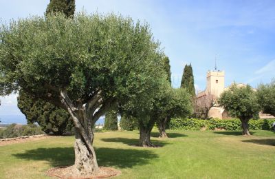 Villa padronale in vendita Vila-rodona, Catalogna