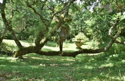 Villa storica in vendita Bussac-sur-Charente, Nuova Aquitania, Foto 23/33