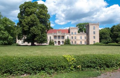 Palazzo in vendita Gościeszyn, Pałac w Gościeszynie, Wielkopolska, Pałac w Gościeszynie