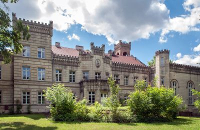 Palazzo in vendita Gościeszyn, Pałac w Gościeszynie, Wielkopolska, Vista posteriore