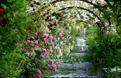 Castello in vendita Barjac, Occitania, Giardino