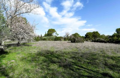 Casa di campagna in vendita Uzès, Occitania, Proprietà