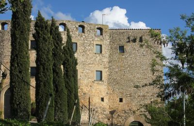 Castello medievale Granyanella, Catalogna