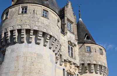 Castello in vendita Chartres, Centre-Val de Loire, Dettagli