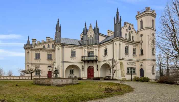 Castello in vendita Patrykozy, Mazovia,  Polonia