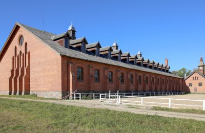 Immobile storico in vendita Žagariškiai, Šiaulių apskritis, Foto 11/37